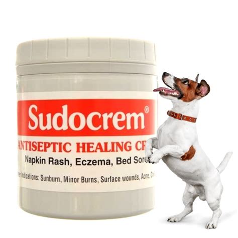 Abscesses are most common in cats after a fight with another cat. . Can i use antiseptic cream on my dog